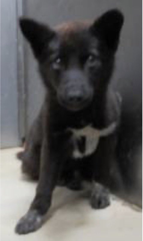 No more culling! tweet media