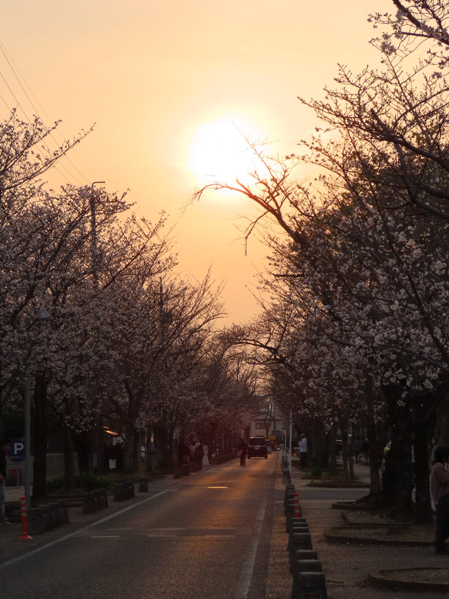 teru.rinrin tweet media