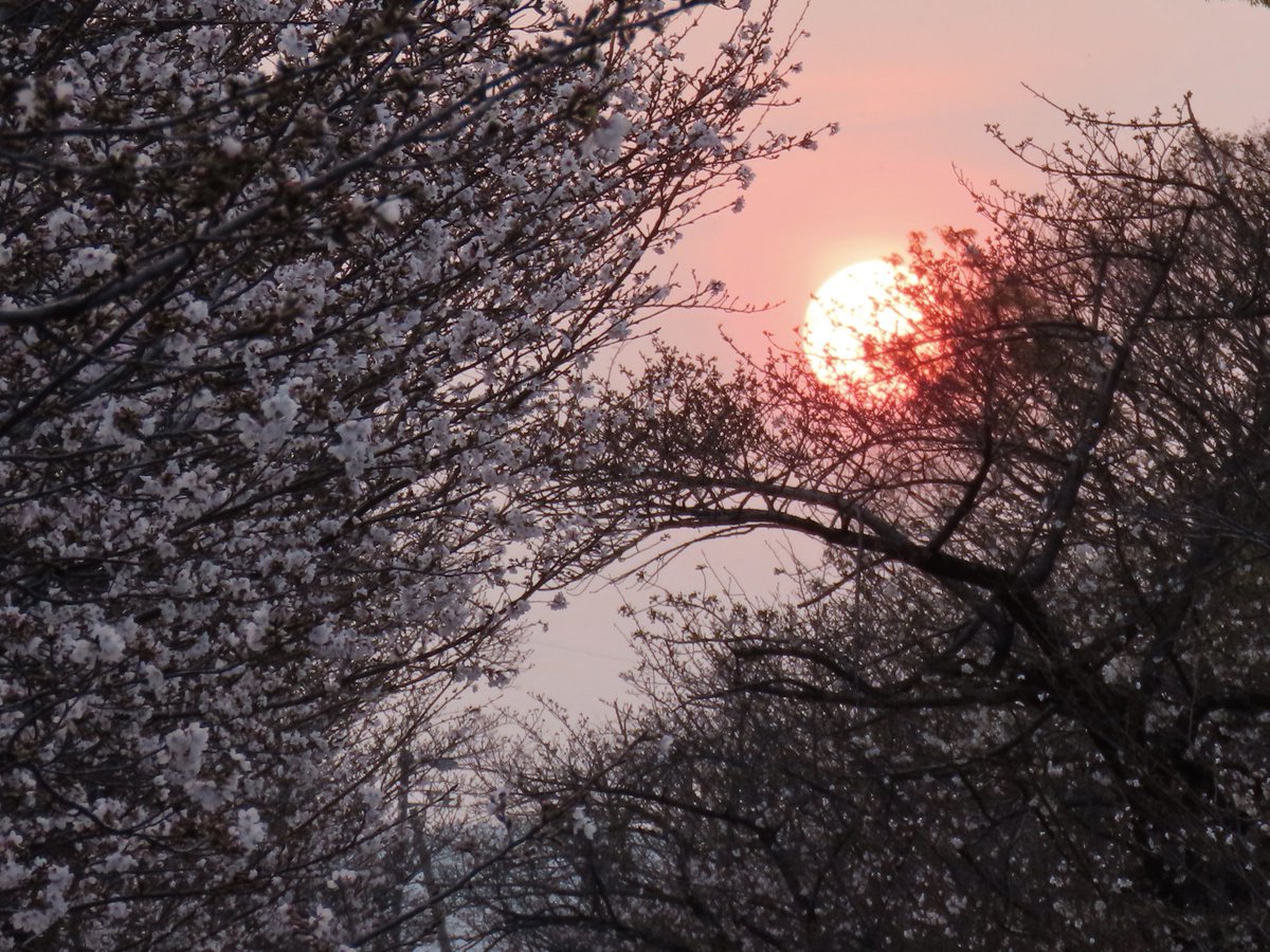 teru.rinrin tweet media