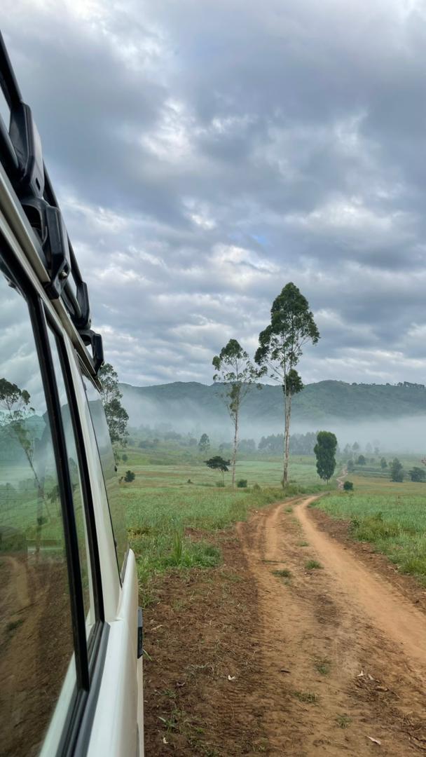Ghislainkibanc1's tweet image. Ce matin, levons-nous avec une conviction simple : produire, transformer et consommer local n’est pas seulement un choix économique, c’est un acte de responsabilité. Même à petite échelle, commencez. Une parcelle, une initiative, une idée… mais avancez.
