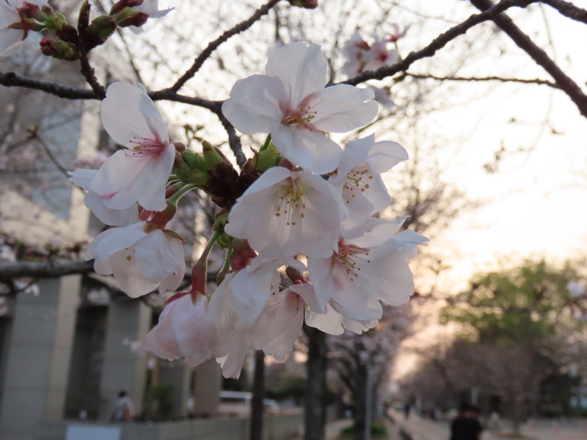 teru.rinrin tweet media