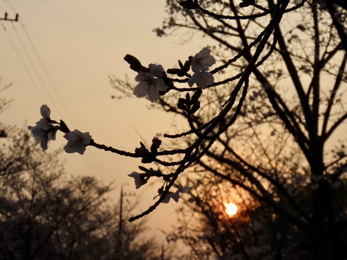 teru.rinrin tweet media