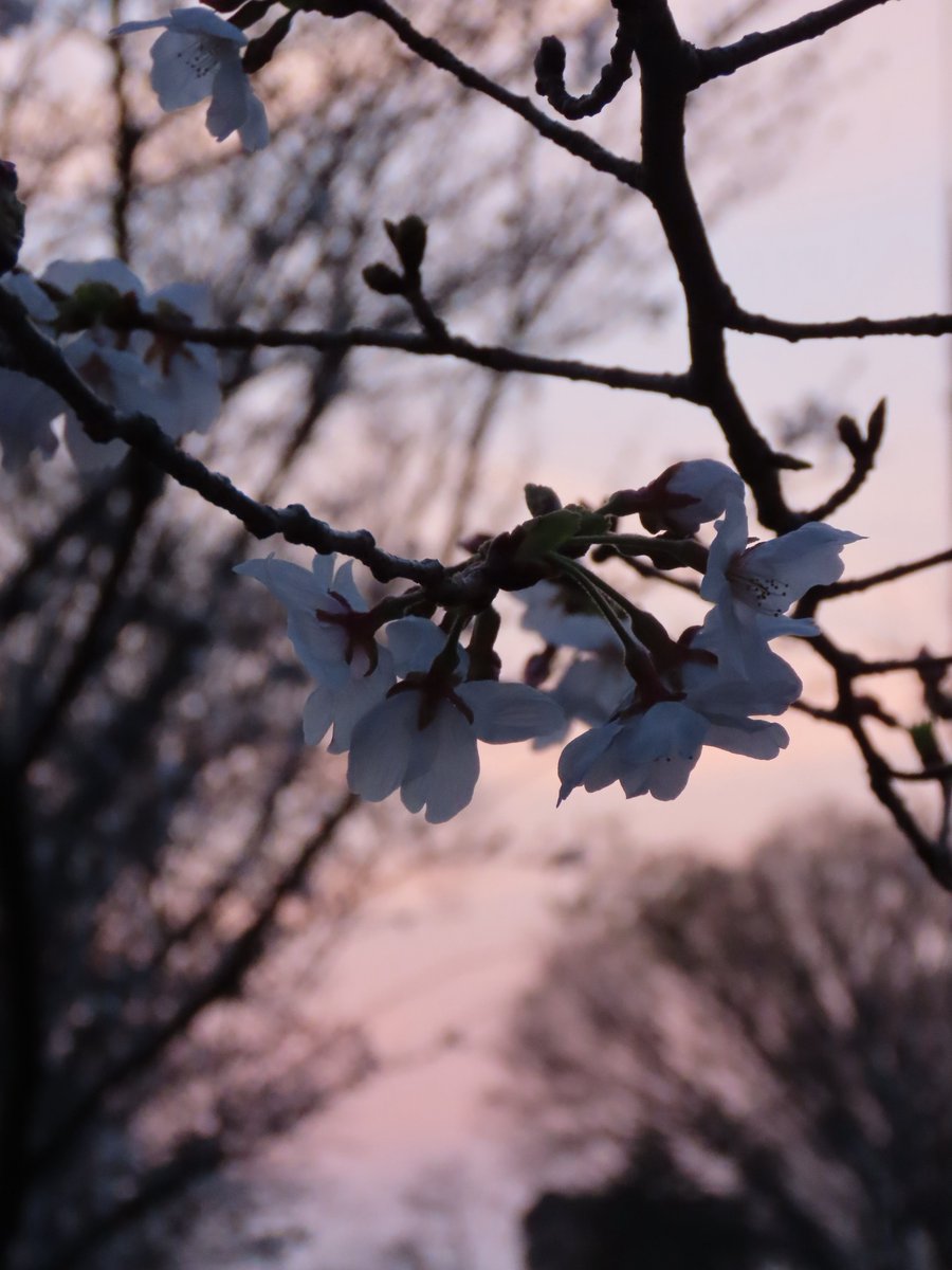 teru.rinrin tweet media