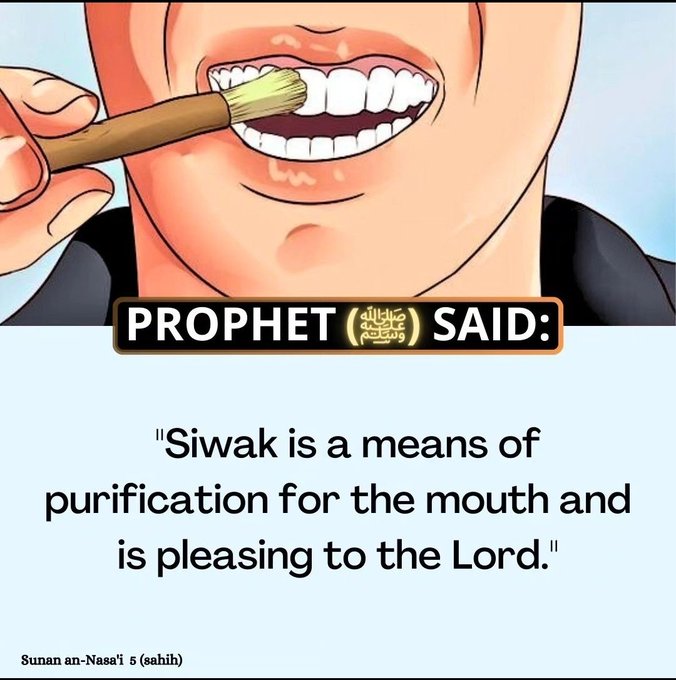 𝐌𝐚𝐡𝐝𝐢 tweet media