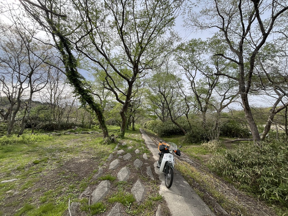 33keyさん☆基礎練習🌱東北支部お茶くみ🐾 tweet media