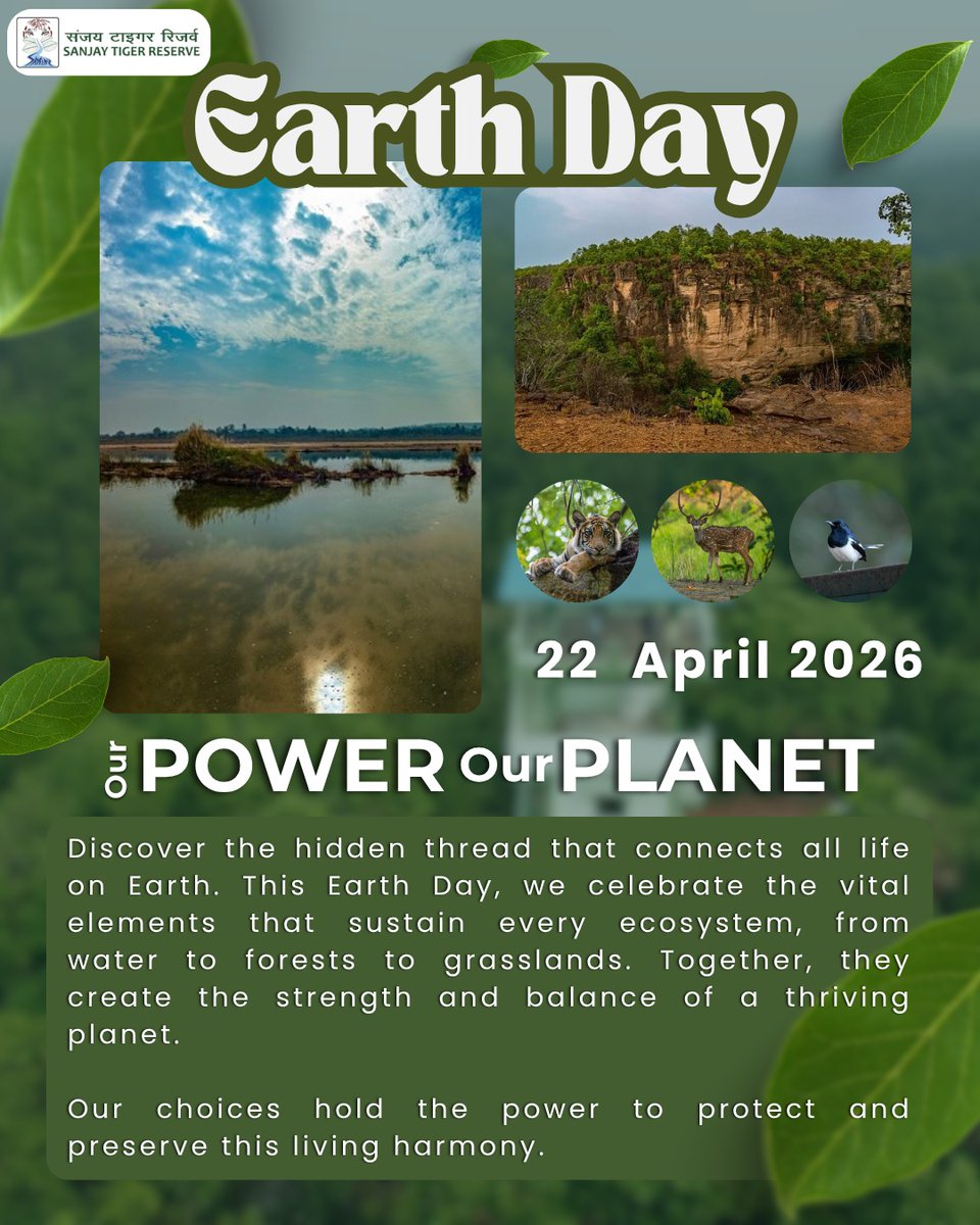Sanjay_TigerR's tweet photo. Earth gives us everything, it’s time we give back
Protect what protects us. The power to save our planet is in our hands.
#earthday #powerourplanet #savetheenvironment #wildlifeconservation #naturematter https://t.co/RWtvj1Cm87