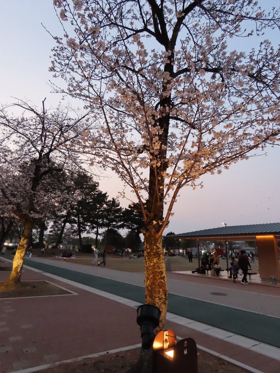 teru.rinrin tweet media