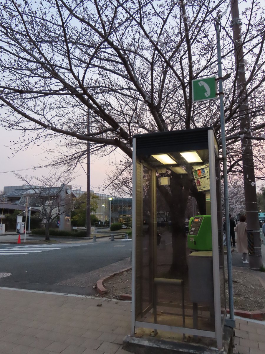 teru.rinrin tweet media