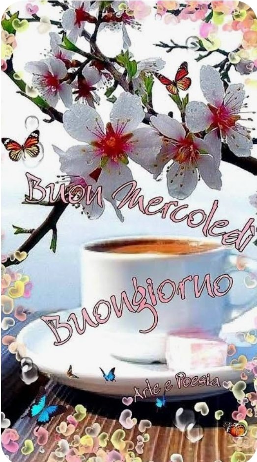 Buongiorno ❤️ 
Buon mercoledì ❤️‍🔥 ❤️‍🔥 
#KiralikAskItaly #SerieTurcheFanPageIta