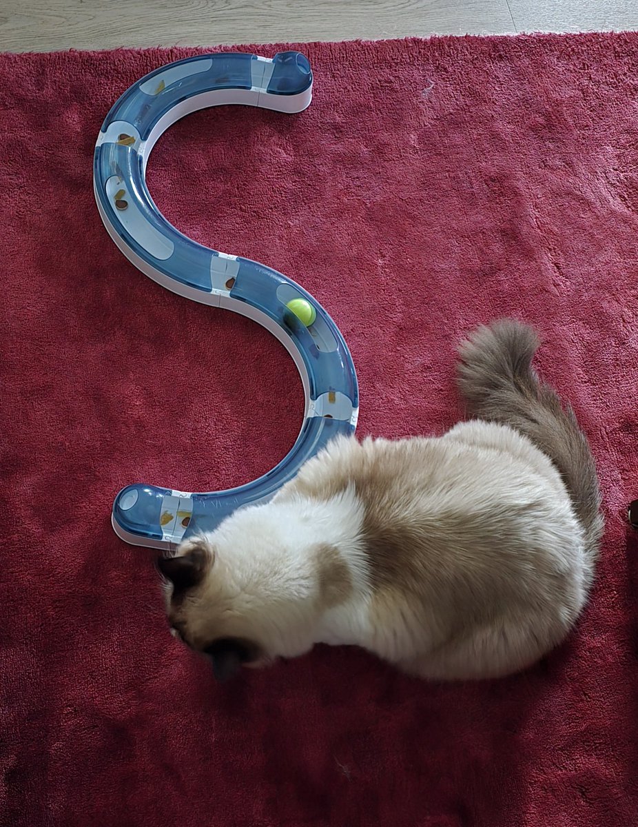 ❤️Yumi Mogry❤️☄ tweet media