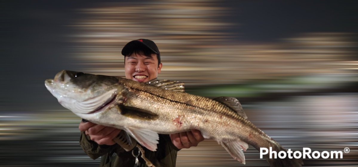 3ilsp9's tweet image. 昨日はﾖｯﾒを連れて港湾バチ調査！
バチ抜けドンピシャの潮回りでメジャーポイントなのにガラガラ😂

おかげで魚は擦れてなくて、20cmくらいのセイゴから60アップのスズキまで各種遊んでくれました🎣🎣

ﾖｯﾒも初シーバスキャッチで癒シーバスでした🐟😂

#Fishman
#DUO