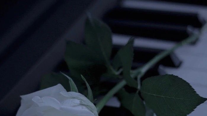 偏頭痛 tweet media