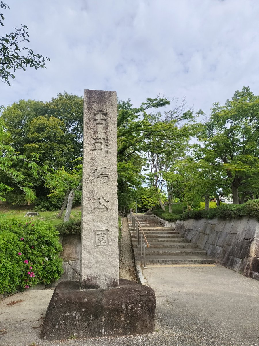 NO.05 藤島えり子 tweet media