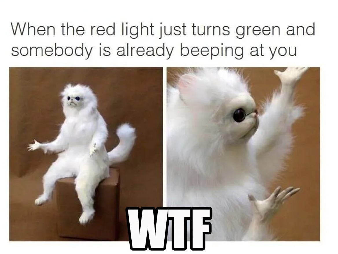 Monkey Cat $WTF tweet media