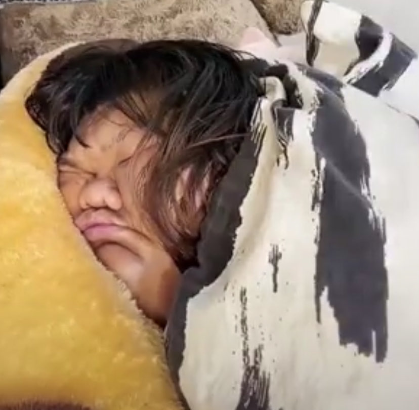 🍃🐤ヒヨコ豆🐤🍃避難用 tweet media