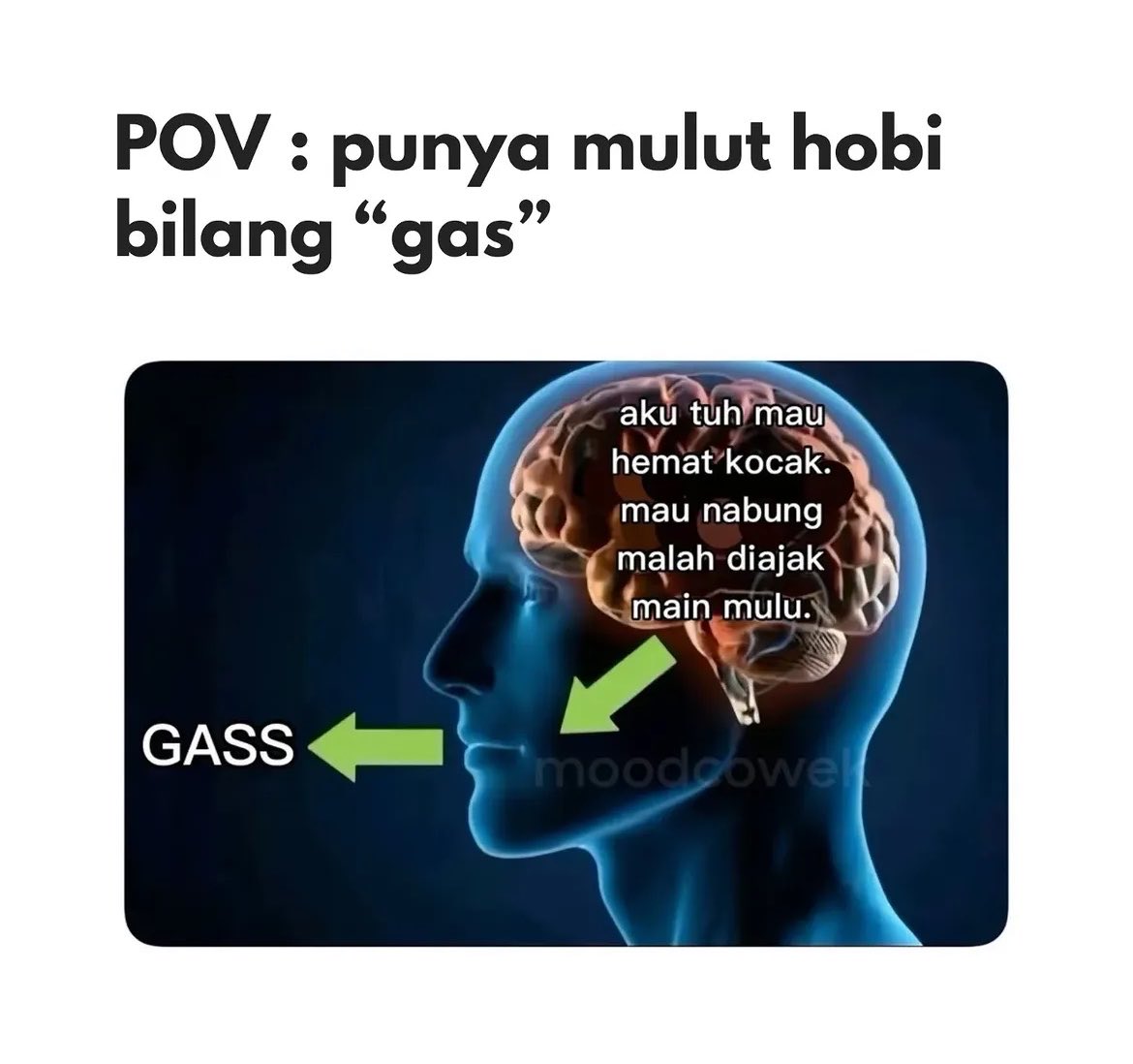 🦋 (@kiyowooou____) on Twitter photo 