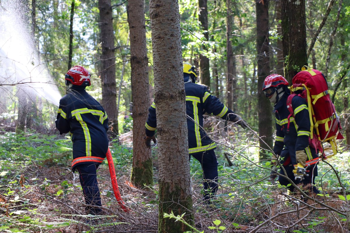 Sapeurs-Pompiers de la Nièvre tweet media