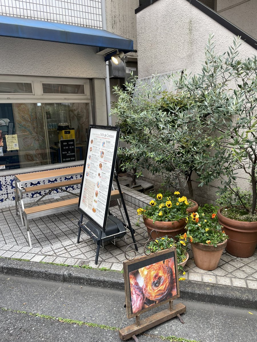 non_chan.48 🌈💗🐶💗🌈 tweet media