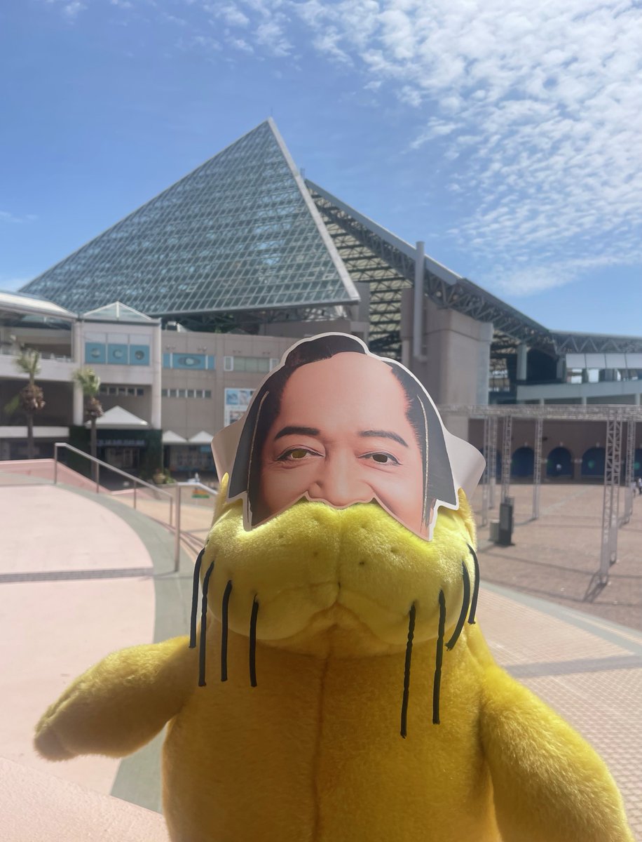 横浜・八景島シーパラダイス公式 tweet media