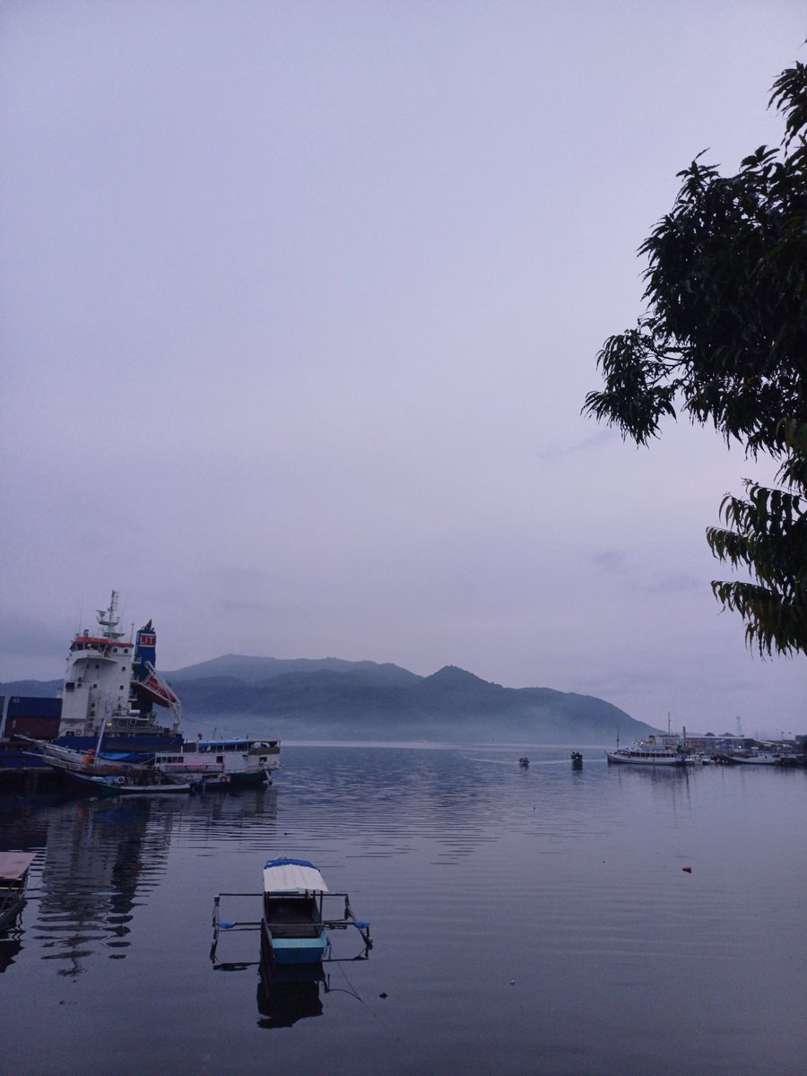 🐈 ☭ 🔻 tweet media