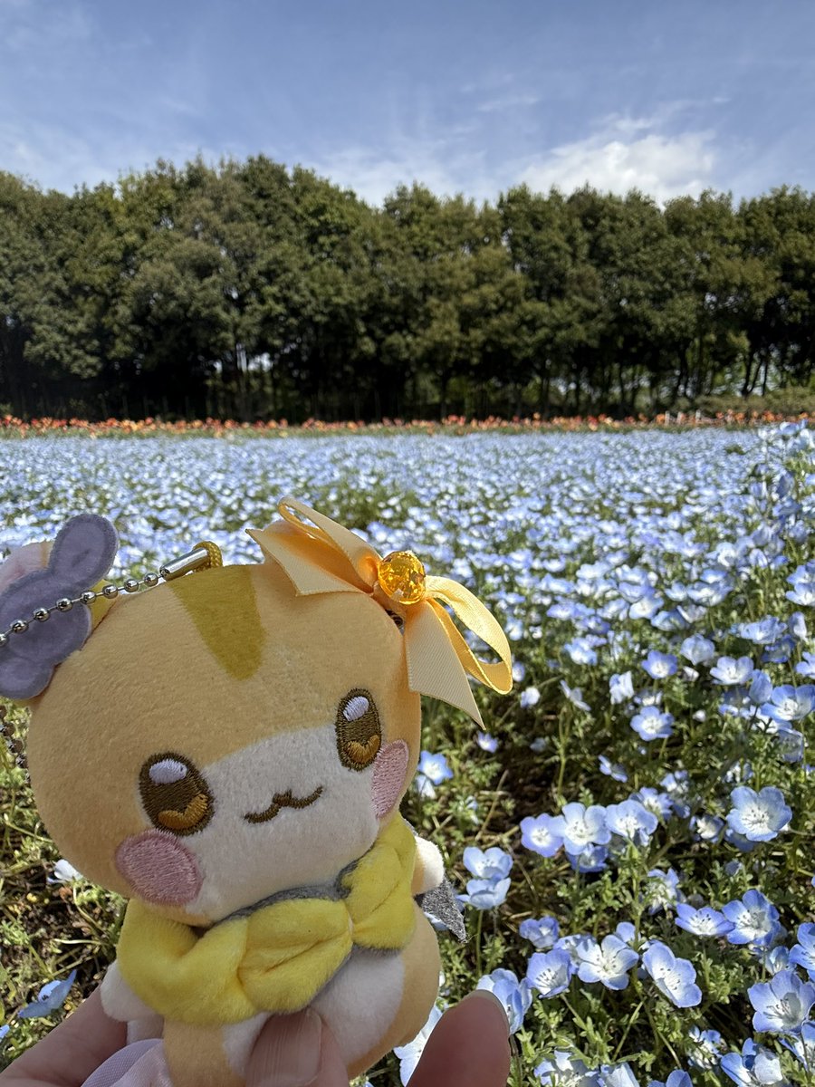 ゆっこたん🌻 tweet media