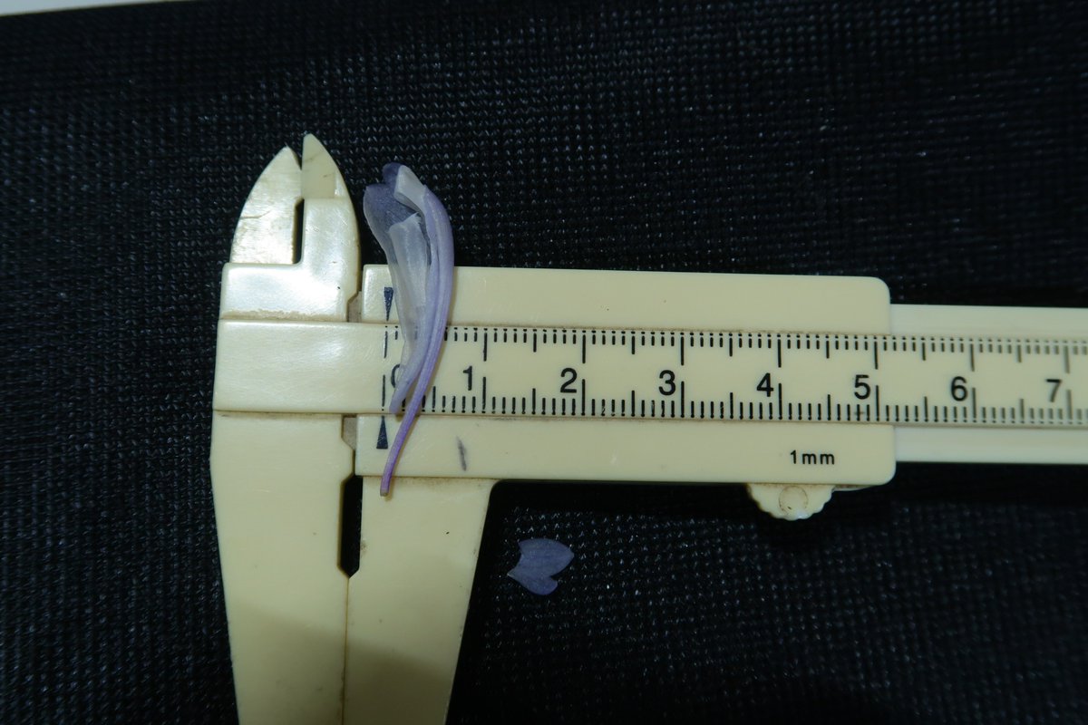 （株）東京オーキット・ナーセリー tweet media