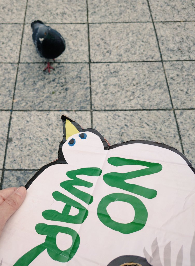 とみ ✌︎ tweet media