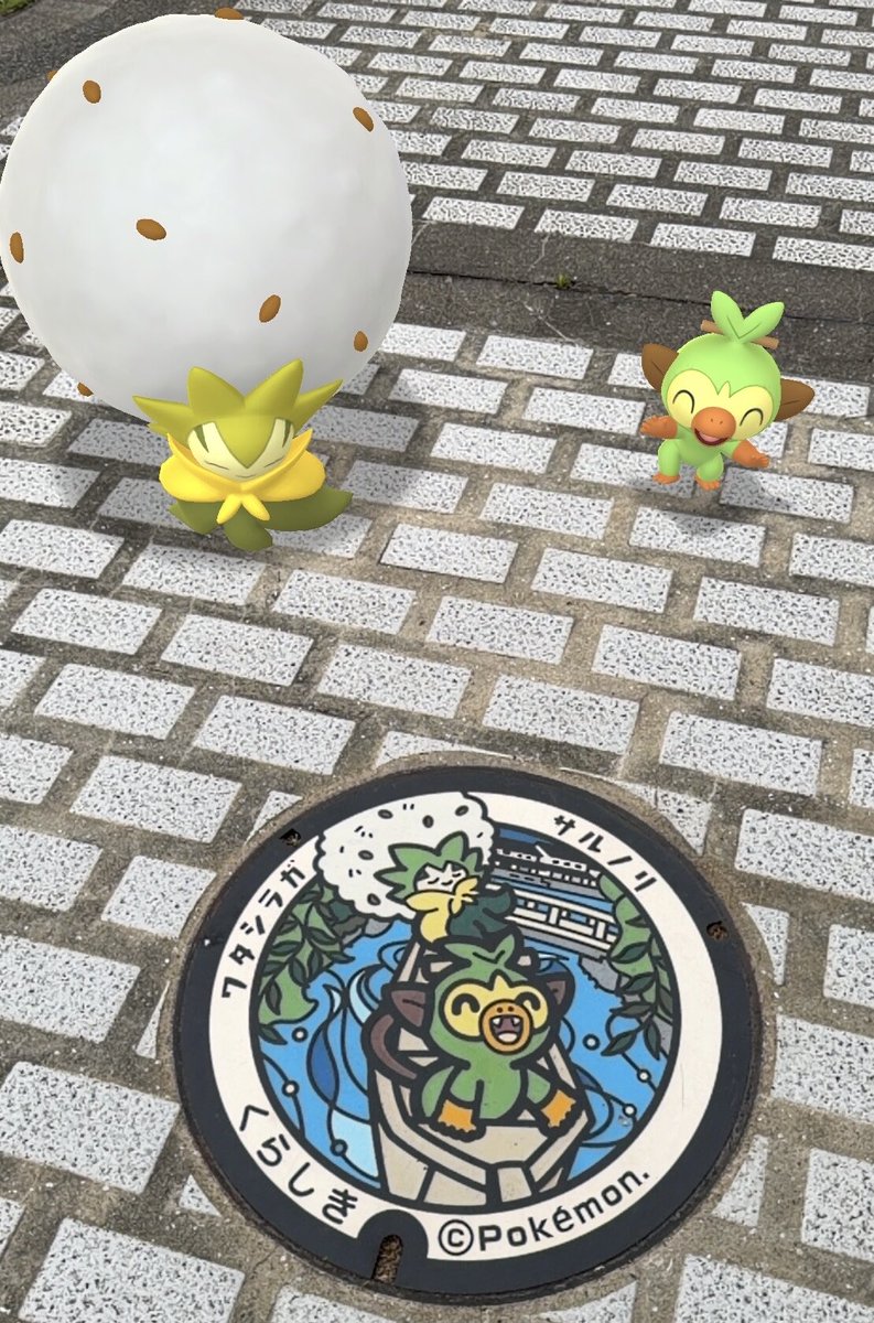 まりん@next福岡⚾️⚡️ tweet media