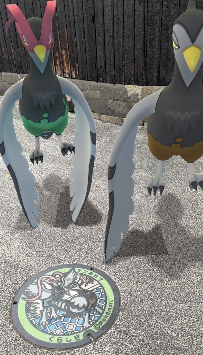 まりん@next福岡⚾️⚡️ tweet media