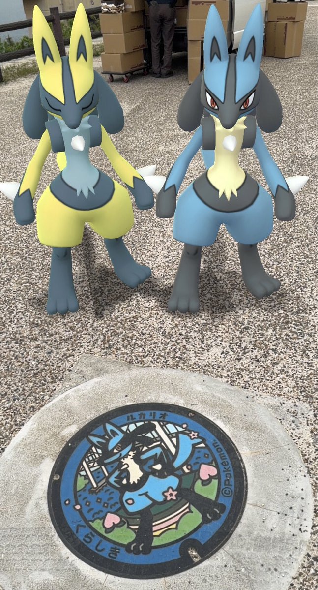 まりん@next福岡⚾️⚡️ tweet media