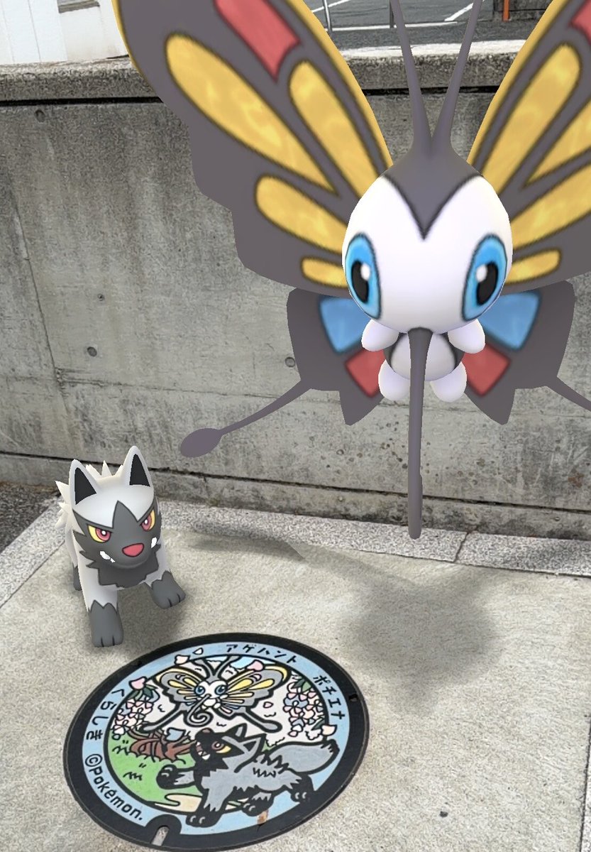 まりん@next福岡⚾️⚡️ tweet media