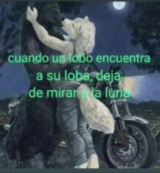 Antonio Morales Mendoza tweet media