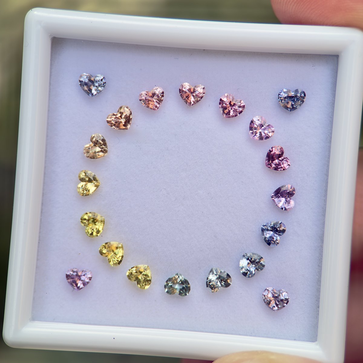 Bribook Gem tweet media