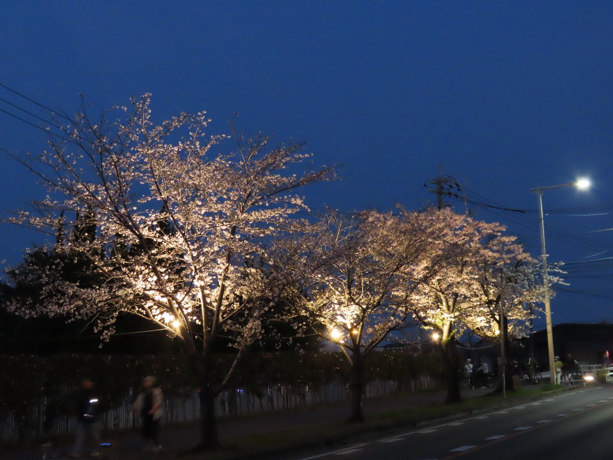 teru.rinrin tweet media