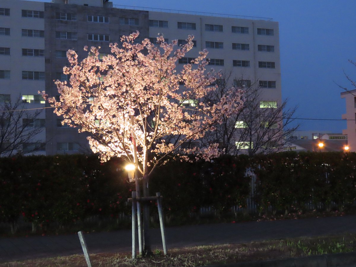 teru.rinrin tweet media