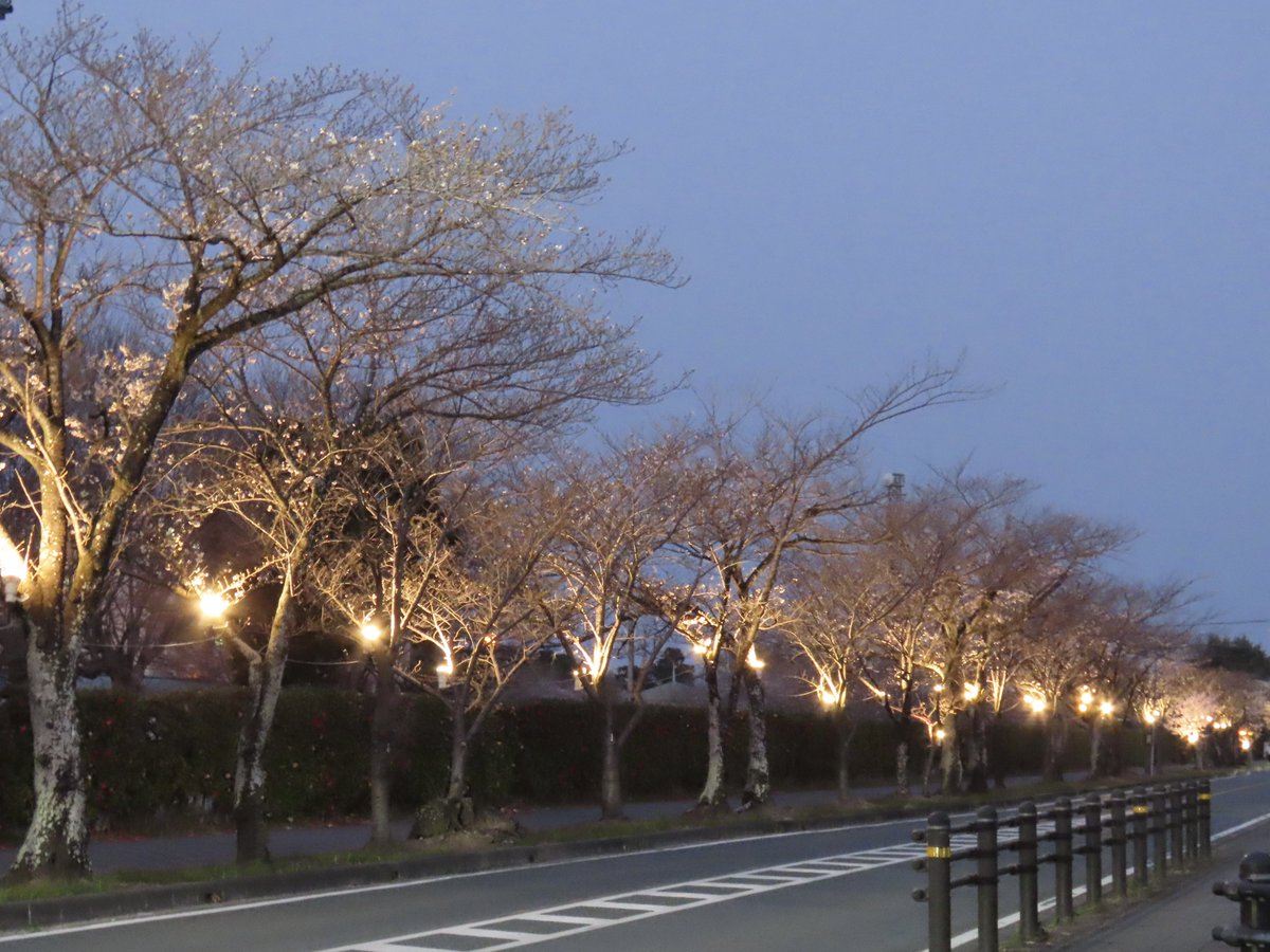 teru.rinrin tweet media