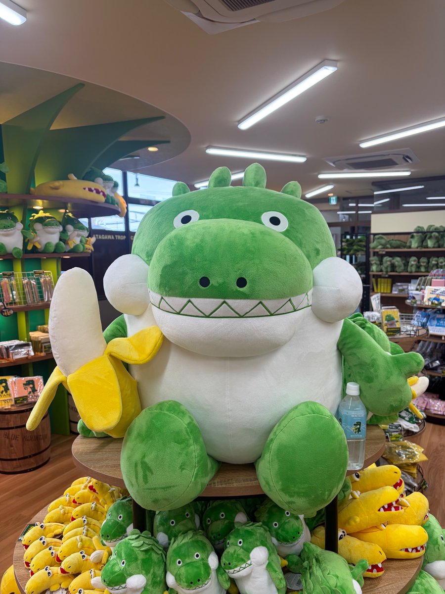 ばにおBigは「どれくらい大きいの？」って声があったので…

✔ 園長（154cm）＝しっかり抱きしめサイズ
✔ ペットボトル＝もはや小道具レベル

つまり…
“ほぼ相棒サイズ”わに🍌🐊
お部屋にいたら、ちょっと安心するやつ🐊🍌

👇気になる方はぜひわに🍌🐊
bananawanien.thebase.in/items/142130833

#ばにお