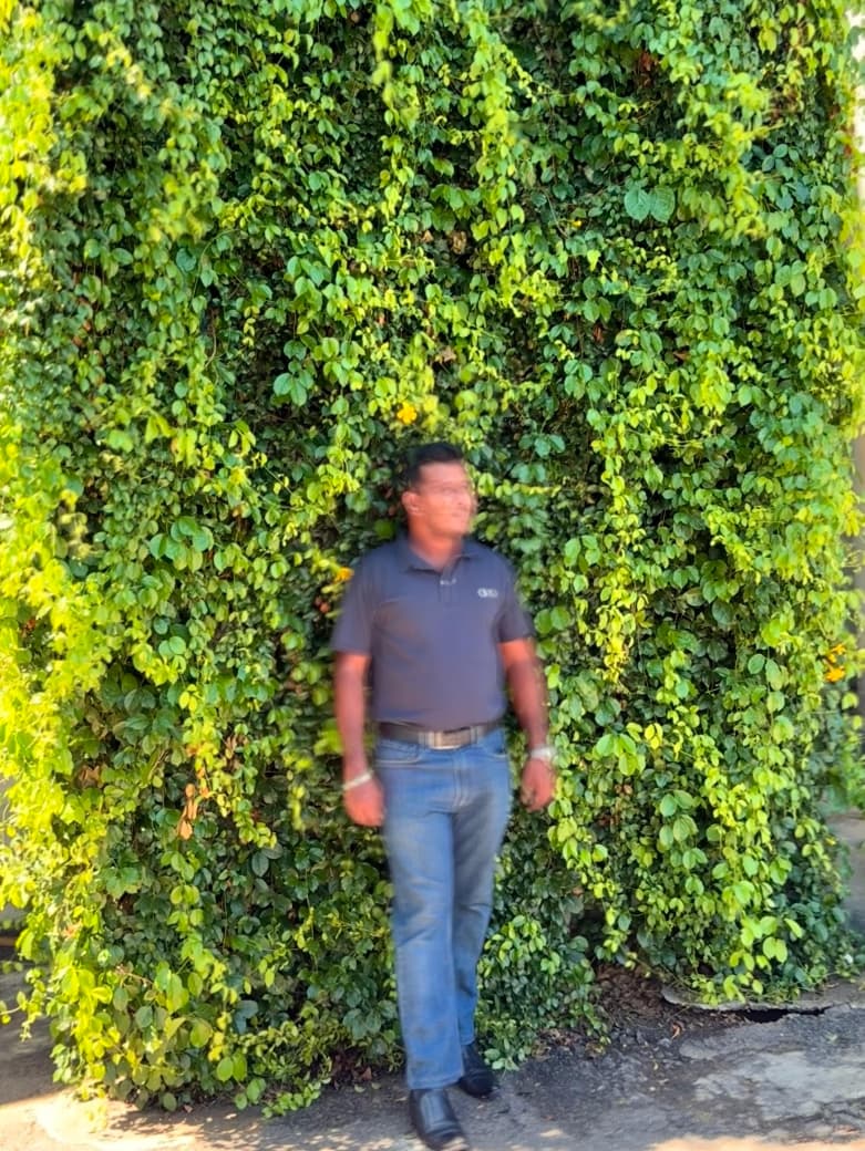 anushshashimal's tweet photo. ME Vs ME https://t.co/TmqaIDhQ26