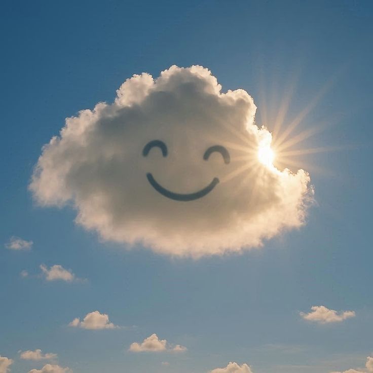 𝗖𝗶𝗹𝗲𝗲𝗺♌ tweet media