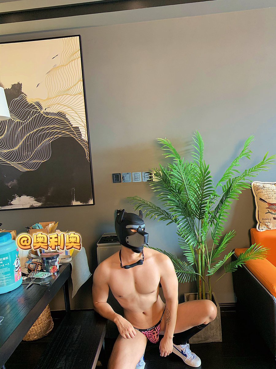 奥利奥 tweet media