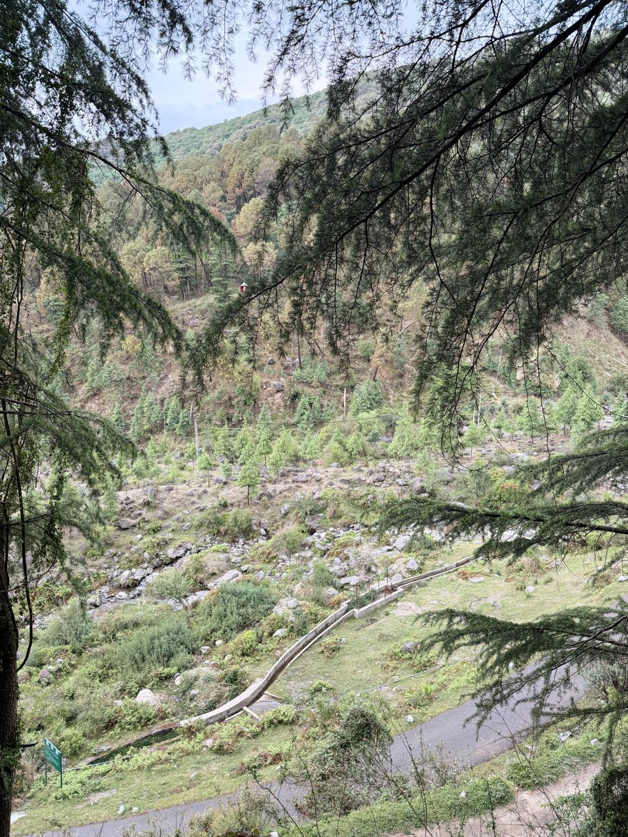 anouvailable's tweet photo. reconnecting with nature https://t.co/mbl6yGBVts