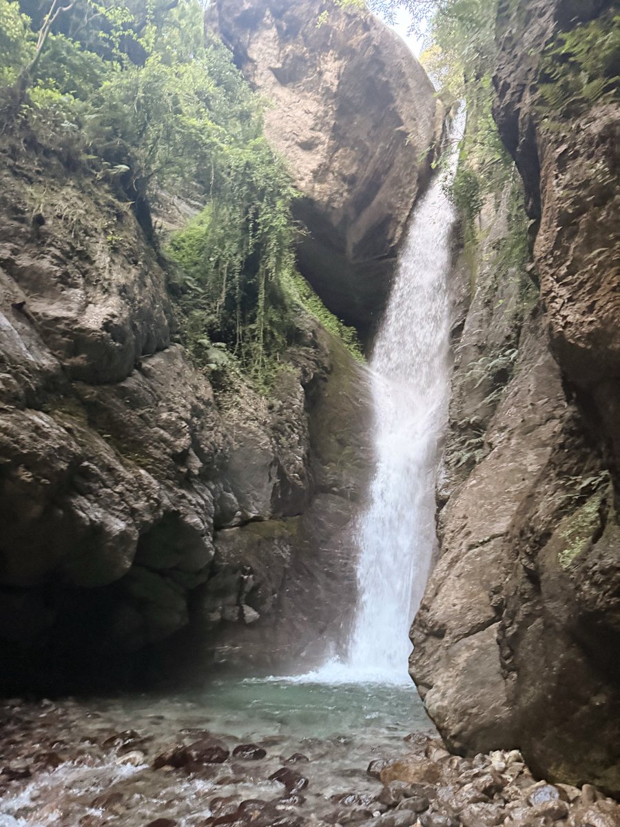 anouvailable's tweet photo. reconnecting with nature https://t.co/mbl6yGBVts