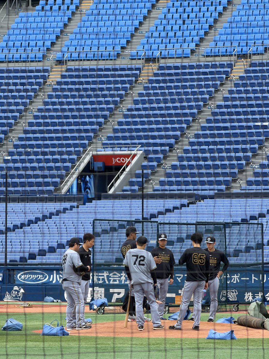 中野雄太【スポーツ報知・阪神担当】 tweet media