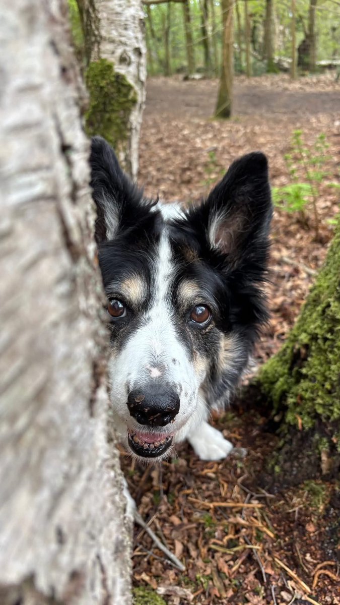 Puppy Bess and Auntie Kes tweet media