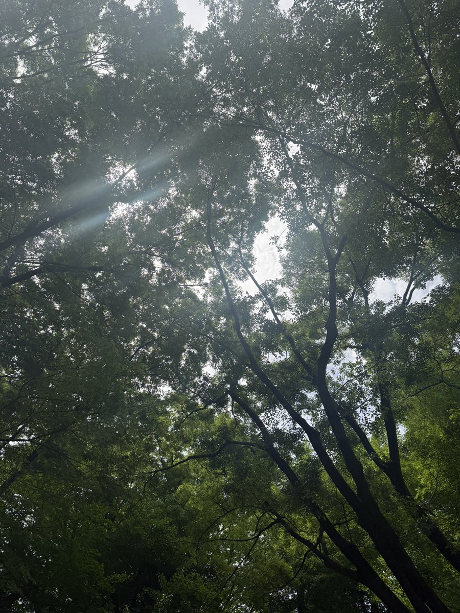 💚あべっち💚 tweet media