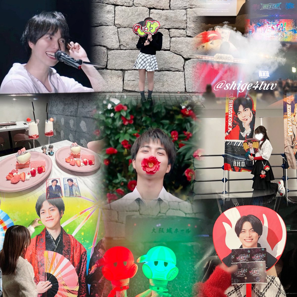 栞. tweet media