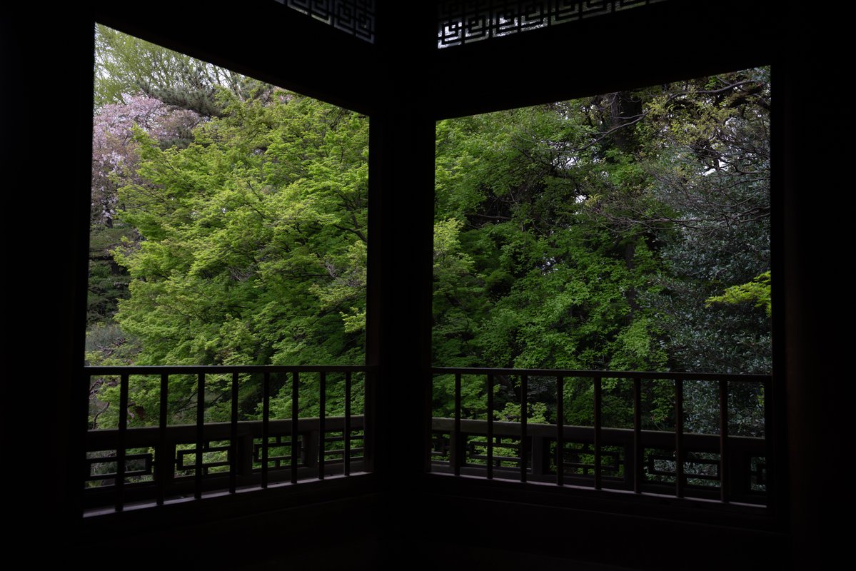 喵了个咪的 tweet media