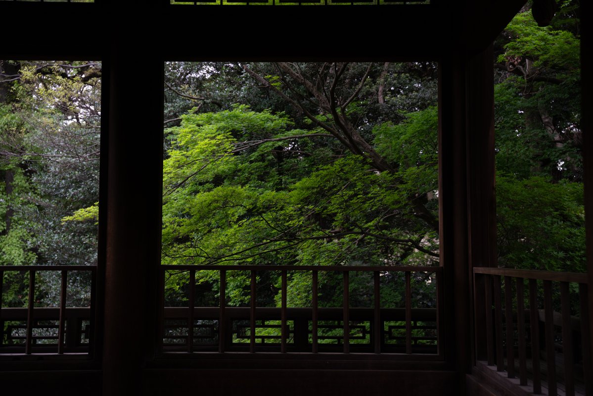 喵了个咪的 tweet media