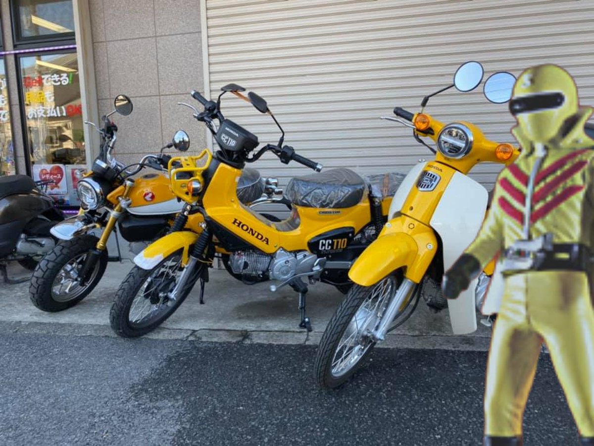 のりもん★BC級蒼菌 tweet media