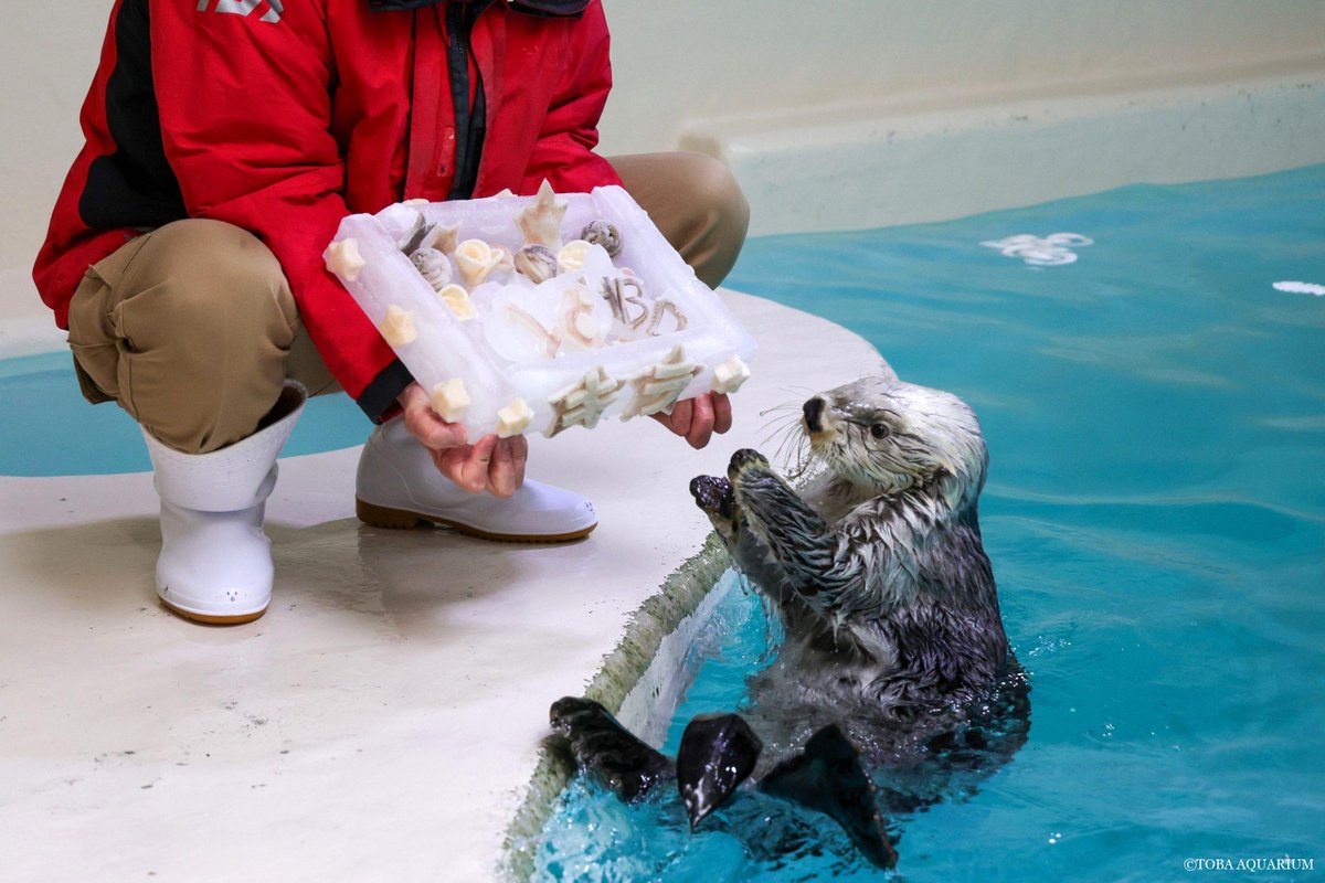 鳥羽水族館（TOBA AQUARIUM） tweet media